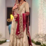 2013 PFDC bridal cature week latest actor and actress collection (15)