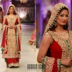 2013 PFDC bridal cature week latest actor and actress collection (55)