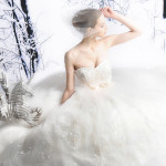 Marvelous Organza Gowns 2013 Collection Marvelous Organza Gowns 2013 Collection