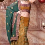 Perfect Sexy Lehenga Sarees Collection Perfect Sexy Lehenga Sarees Collection