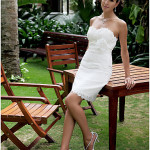 Cheap Beach Wedding Dresses & Gowns 2013 Cheap Beach Wedding Dresses & Gowns 2013