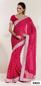 Fenisse Sarees 2013 By Natasha Couture (15)