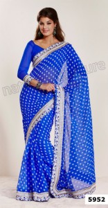 Fenisse Sarees 2013 By Natasha Couture (25)