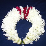 Fresh Flower Gajra Fresh Flower Gajra