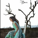 Shariq Textiles lawn collection 2013 (23)