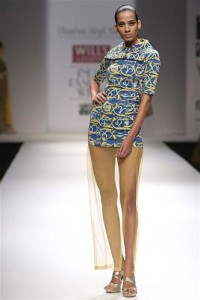 Wills India Fashion Week 2013 (8)