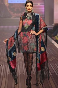 wills india fashion week 2013 by ritu kumar (2)