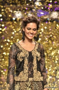 wills india fashion week 2013 by ritu kumar (3)