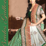 Beautiful Aari Work Lehenga Beautiful Aari Work Lehenga