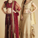 amazing nice lehengas