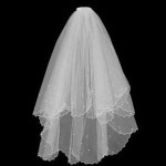 beautiful beaded wedding veil (12)