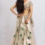 lehenga in different style