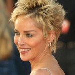 short hairstyles for fine hair (15)