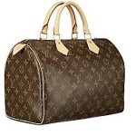 Louis Vuitton Designer Bags