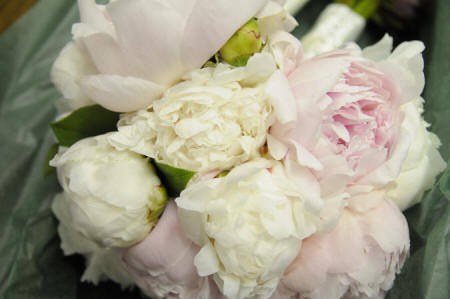 Brides_White_Pink_Peony_Bouquet