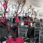 Multitalented Variety Of Center Piece Natural And Ordinary Trees Branch Multitalented Variety Of Center Piece Natural And Ordinary Trees Branch