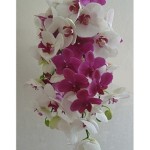 Orchid bouquet esign