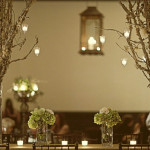 Wedding Centerpieces With Branches ideas