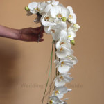 moth white orchid-bouquet