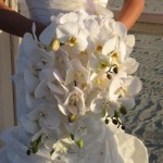 orchids_wedding_theme bouquet