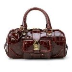 outclass Leather Handbags (9)