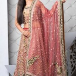 Basic Pink Bridal Lehanga Make Up Ideas For 2014 Basic Pink Bridal Lehanga Make Up Ideas For 2014