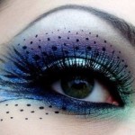 Gorgeous 2014 Peacock Makeup Collection Gorgeous 2014 Peacock Makeup Collection