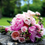 Palest Pinks Bouquets collection