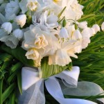 Spring White Bride Bouquet Sun