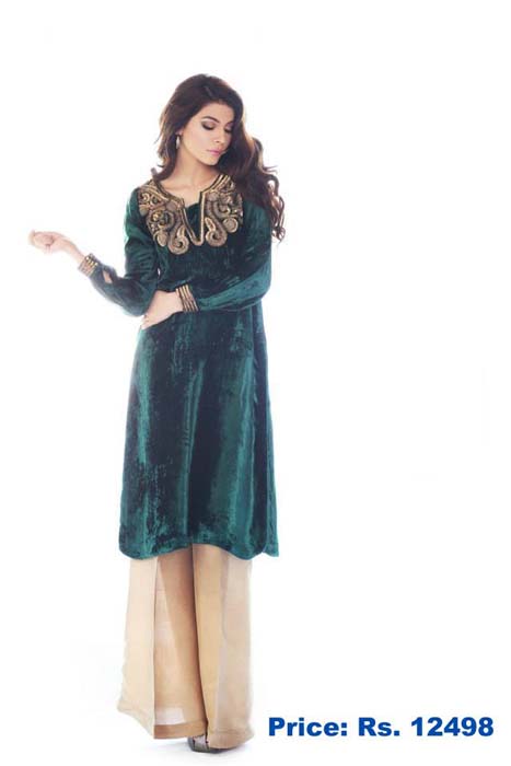 Women Party Wears Aafreen Winter Collection 2013-14 (4)