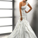 SOTTERO and MIDGLEY www.sotteroandmidgley.com