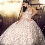 new sleevles bridal dress american wedding dress 2014