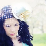 Amazing And Stylish Birdcage Veil Amazing And Stylish Birdcage Veil