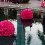 Sensational Outdoor Wedding Floating Flower Decoration Sensational Outdoor Wedding Floating Flower Decoration