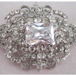 Bridal shoe clips Bridal shoe clips