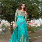 Assemblage of 2014 Silk and Chiffon Women Dresses of Silk Asia Couture Assemblage of 2014 Silk and Chiffon Women Dresses of Silk Asia Couture