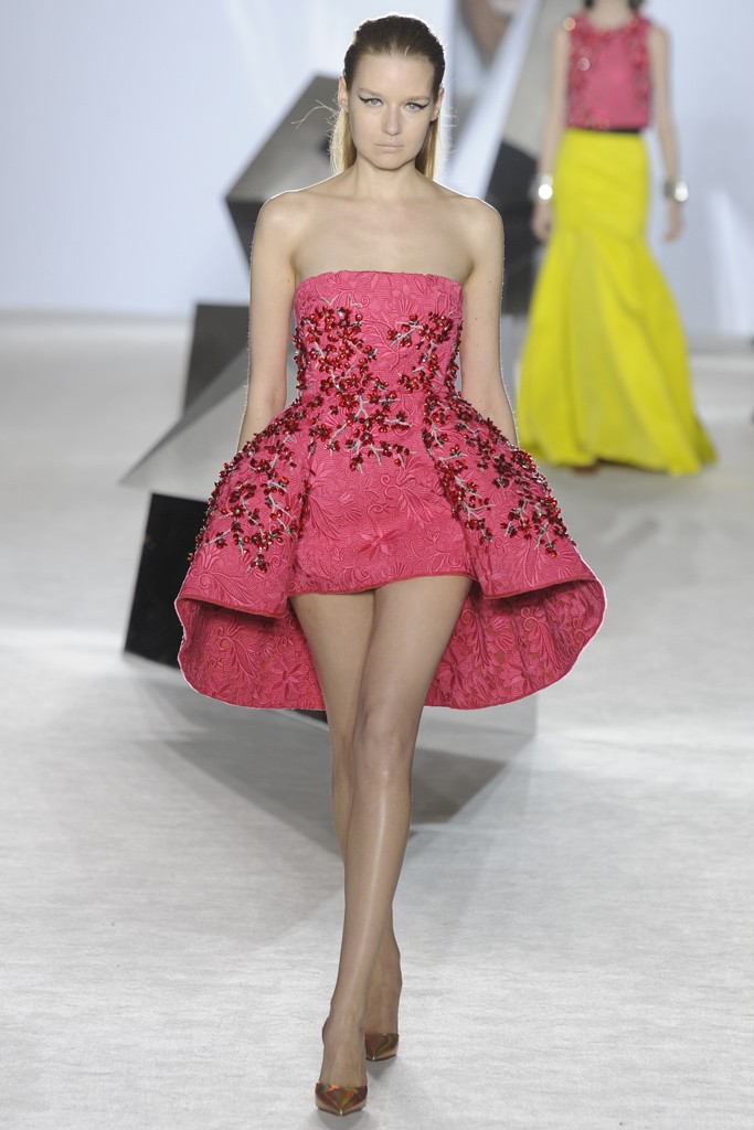 Giambattista Valli Couture Spring 2014 (2)