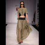 Wills Lifestyle India Fashion Week Spring Summer 2014 Wills Lifestyle India Fashion Week Spring Summer 2014