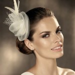 Wedding Hair Accessories Made with Feathers Wedding Hair Accessories Made with Feathers