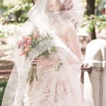 collection of amazing bridal veil