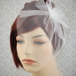 simple blusher veil white net style