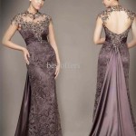 Awesome Sheer Cap Sleeve Gown Prom Dresses Awesome Sheer Cap Sleeve Gown Prom Dresses