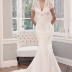 Cap-sleeve slim gowns dresses for wedding 2014 (2)