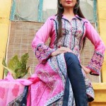 Indian Lawn Collection 2014 (4)