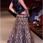 bridal lehenga designs collection by ritu kumar (4)