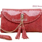 clutch bag in different colors (11)