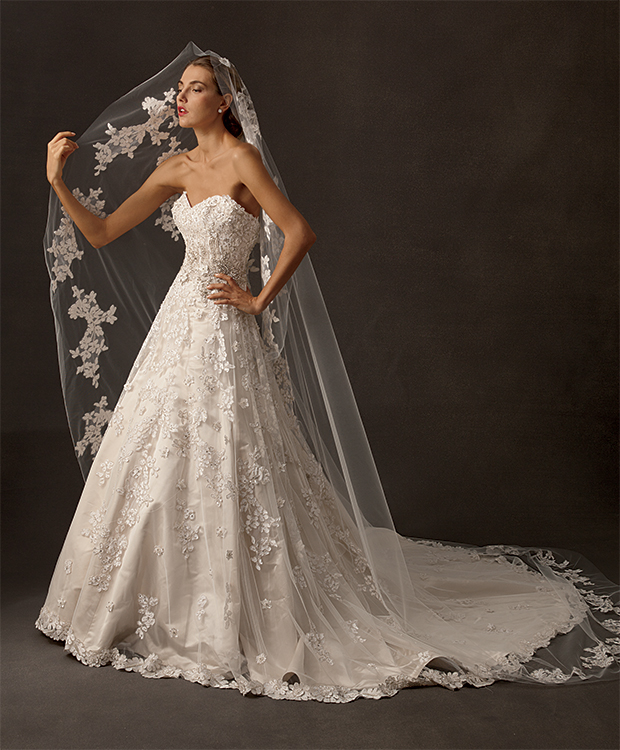 Amalia Carrara 2014 Wedding Dresses collection