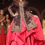 Bollywood Actresses as Showstopper in Fashion Week 2014 Bollywood Actresses as Showstopper in Fashion Week 2014