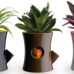 interesting Flower pot Designs