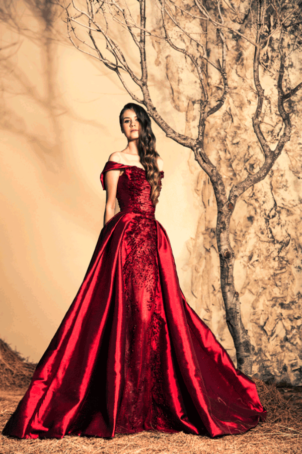 Ziad Nakad Charming Wedding dresses 2015 For Girls (3)